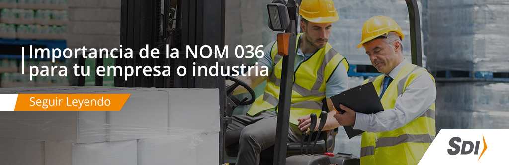 Importancia de la NOM 036