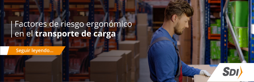 factores de riesgo ergonómico en el transporte de cargas