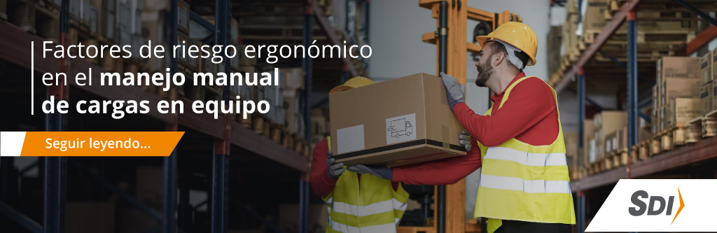 Factores de riesgo ergonómico en el manejo manual de cargas en equipo 2 riesgo ergonómico
